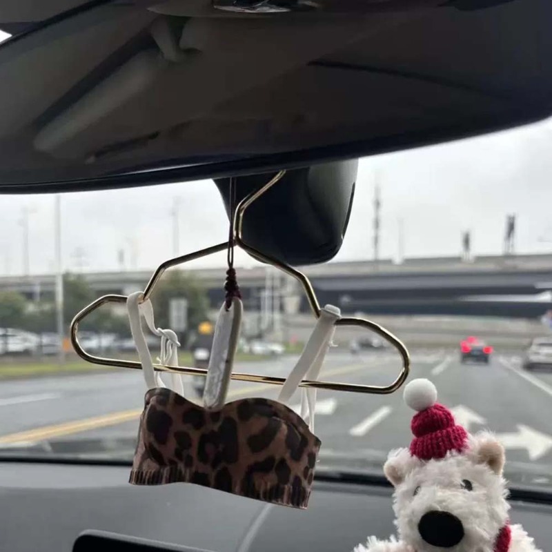 Mini iç çamaşırı araba süsü, s - Interior Design Years incelemesi ve fiyatı