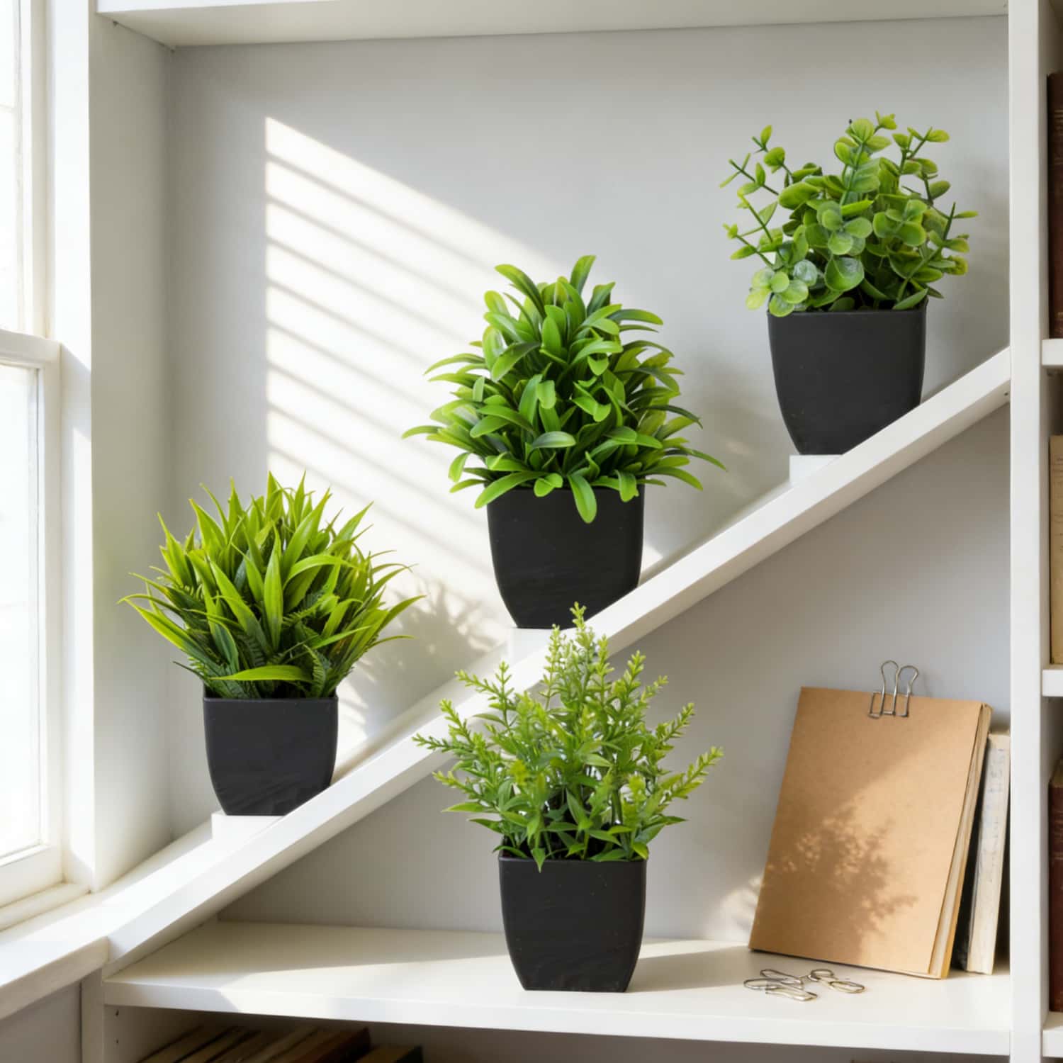 1 adet Gerçekçi Mini Okaliptüs - Interior Design Office incelemesi ve fiyatı