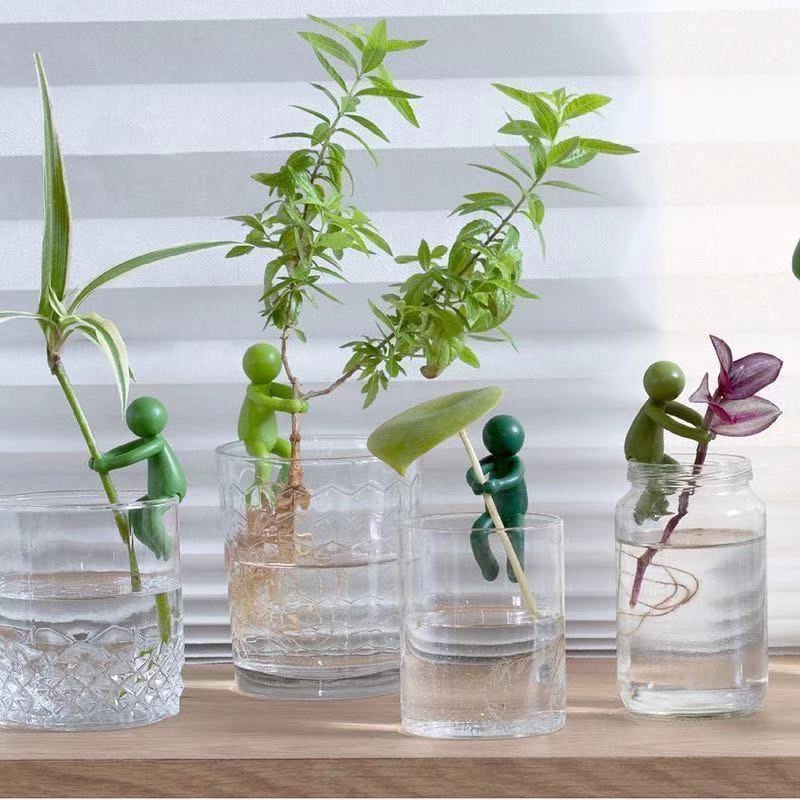 Hidroponik Bitki Sabitleme Fig - Interior Design Office incelemesi ve fiyatı